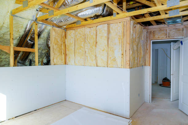 Best Local Insulation Services  in Mishicot, WI