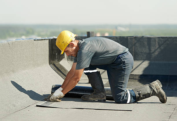 Best Attic Insulation Installation  in Mishicot, WI