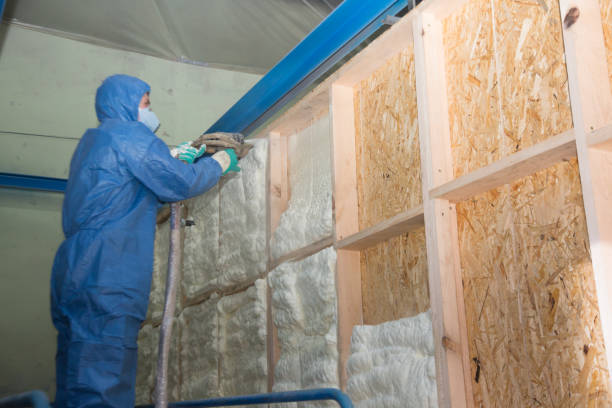 Best Commercial Insulation Contractor  in Mishicot, WI